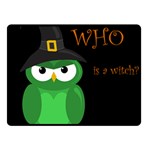 Who is a witch? - green Double Sided Fleece Blanket (Small)  45 x34  Blanket Front