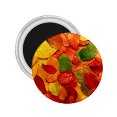 Colorful Fall Leaves 2.25  Magnets