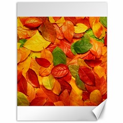 Colorful Fall Leaves Canvas 36  x 48  