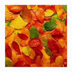 Colorful Fall Leaves Medium Glasses Cloth