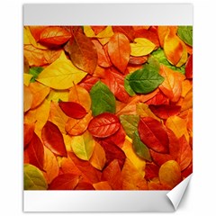 Colorful Fall Leaves Canvas 11  x 14  