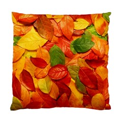 Colorful Fall Leaves Standard Cushion Case (One Side)