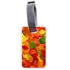 Colorful Fall Leaves Luggage Tags (One Side) 