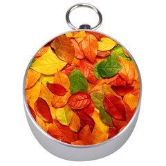 Colorful Fall Leaves Silver Compasses