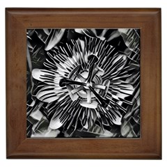 Black And White Passion Flower Passiflora  Framed Tiles by yoursparklingshop