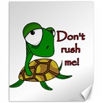 Turtle joke Canvas 20  x 24   19.57 x23.15  Canvas - 1