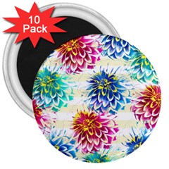 Colorful Dahlias 3  Magnets (10 pack) 