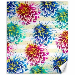 Colorful Dahlias Canvas 20  X 24  