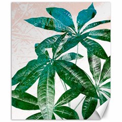 Pachira Leaves  Canvas 8  X 10  by DanaeStudio