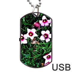 Pink Flowers Over A Green Grass Dog Tag Usb Flash (two Sides)  by DanaeStudio