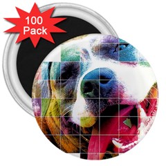 Layla Merch 3  Magnets (100 Pack) by tigflea