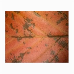 Red Leaf Texture Small Glasses Cloth (2-side) by SamEarl13