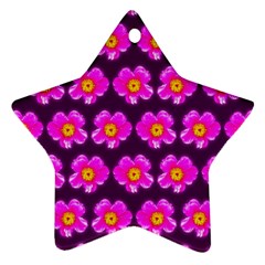 Pink Flower Pattern On Wine Red Star Ornament (Two Sides) 