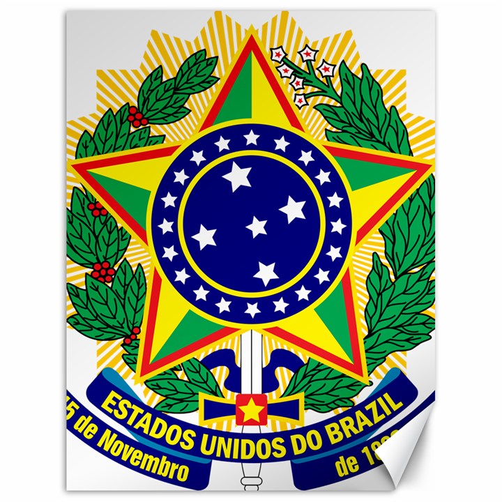 Coat of Arms of Brazil Canvas 18  x 24  