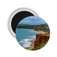 Aerial Seascape Scene Pipa Brazil 2 25  Magnets by dflcprints