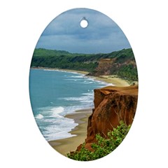 Aerial Seascape Scene Pipa Brazil Oval Ornament (two Sides) by dflcprints