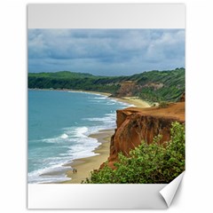 Aerial Seascape Scene Pipa Brazil Canvas 12  X 16   by dflcprints