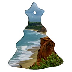 Aerial Seascape Scene Pipa Brazil Christmas Tree Ornament (2 Sides) by dflcprints