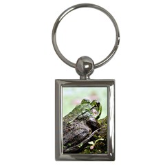Frog Key Chain (rectangle) by MaxsGiftBox