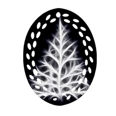 Christmas Fir, Black And White Oval Filigree Ornament (2-side)  by picsaspassion