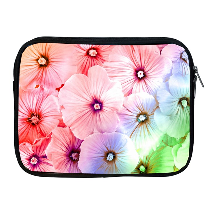 Rainbow Flower Apple iPad 2/3/4 Zipper Cases
