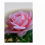 Rose Pink Flowers Pink Saturday Large Garden Flag (Two Sides) Front