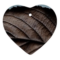 Leaf Veins Nerves Macro Closeup Heart Ornament (2 Sides) by Amaryn4rt