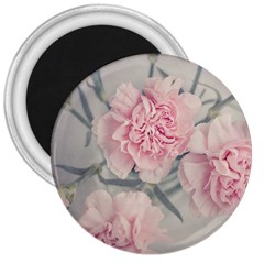 Cloves Flowers Pink Carnation Pink 3  Magnets