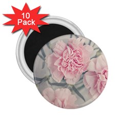 Cloves Flowers Pink Carnation Pink 2.25  Magnets (10 pack) 