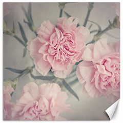 Cloves Flowers Pink Carnation Pink Canvas 20  x 20  