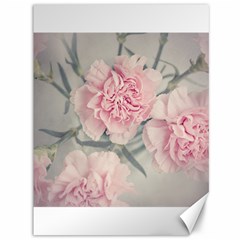 Cloves Flowers Pink Carnation Pink Canvas 36  x 48  