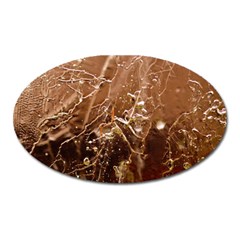 Ice Iced Structure Frozen Frost Oval Magnet