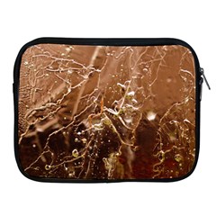 Ice Iced Structure Frozen Frost Apple iPad 2/3/4 Zipper Cases