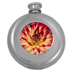 Bloom Blossom Close Up Flora Round Hip Flask (5 Oz) by Amaryn4rt