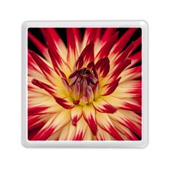 Bloom Blossom Close Up Flora Memory Card Reader (square)  by Amaryn4rt