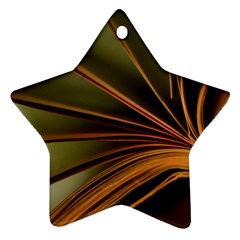 Book Screen Climate Mood Range Star Ornament (two Sides)  by Amaryn4rt