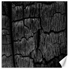 Coal Charred Tree Pore Black Canvas 16  X 16   by Amaryn4rt