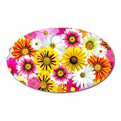 Flowers Blossom Bloom Nature Plant Oval Magnet