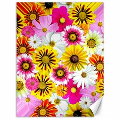 Flowers Blossom Bloom Nature Plant Canvas 36  x 48  