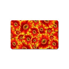 Gerbera Flowers Blossom Bloom Magnet (name Card)