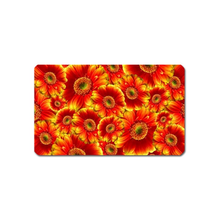 Gerbera Flowers Blossom Bloom Magnet (Name Card)