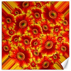 Gerbera Flowers Blossom Bloom Canvas 16  X 16   by Amaryn4rt