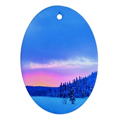 Winter Landscape Snow Forest Trees Ornament (oval) 