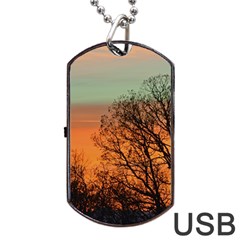 Twilight Sunset Sky Evening Clouds Dog Tag Usb Flash (two Sides)  by Amaryn4rt