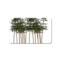 Bamboo Plant Wellness Digital Art Magnet (Name Card)