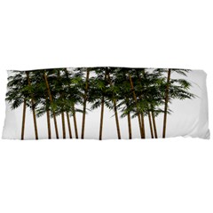 Bamboo Plant Wellness Digital Art Body Pillow Case Dakimakura (two Sides) by Amaryn4rt