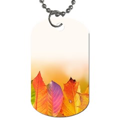 Autumn Leaves Colorful Fall Foliage Dog Tag (one Side) by Amaryn4rt