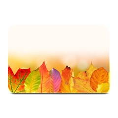 Autumn Leaves Colorful Fall Foliage Plate Mats by Amaryn4rt