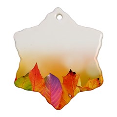 Autumn Leaves Colorful Fall Foliage Ornament (snowflake) 