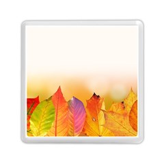 Autumn Leaves Colorful Fall Foliage Memory Card Reader (square)  by Amaryn4rt